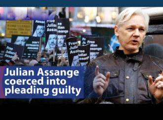 Renowned Australian journalist Julian Assange coerced into pleading guilty