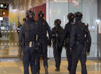 Tragic deaths of security guards at Bondi Westfield and Adelaide Westfield spark questions of accountability.